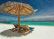 Beach side tanning beds under a hut